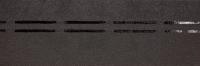 Коньково-карнизная черепица Döcke PIE Eurasia, 22 пог.м, Серый